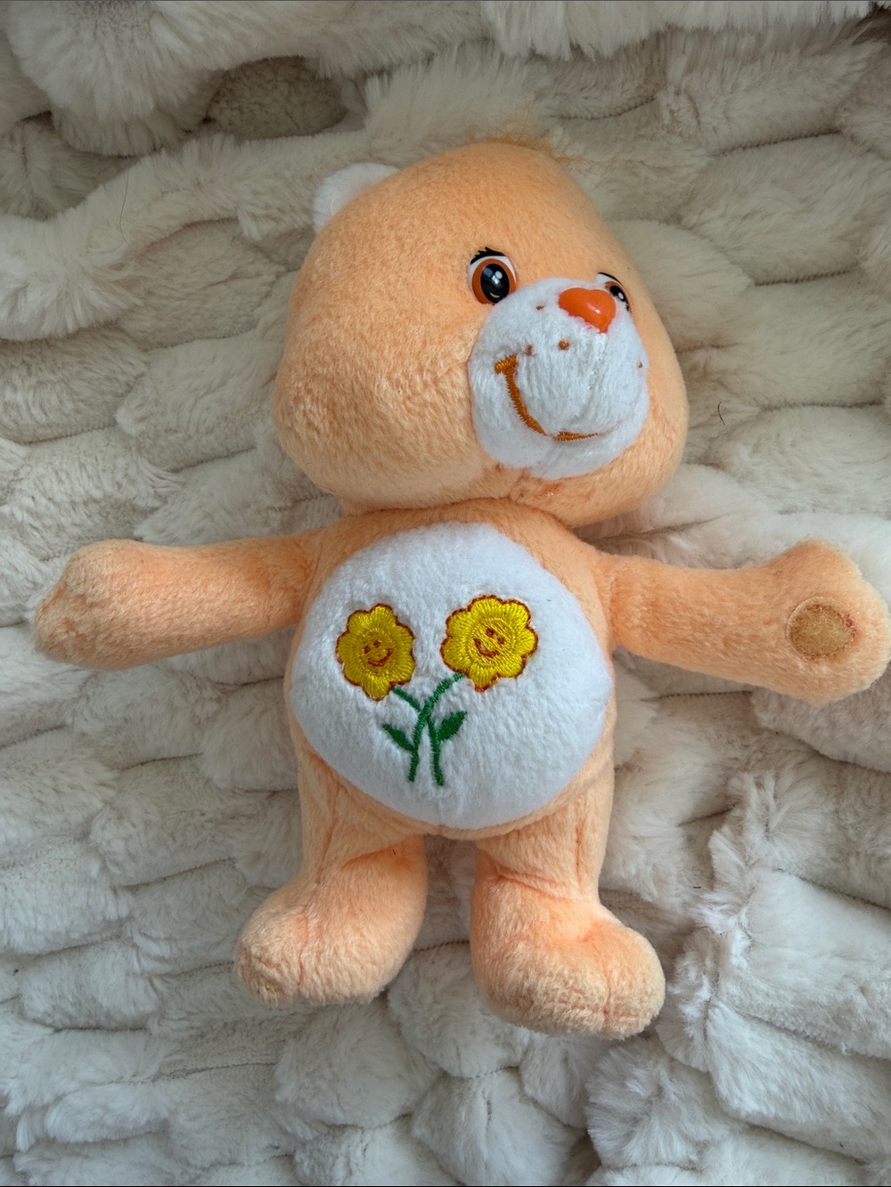 2002 Vintage CARE BEARS - Friend Bear Play Along 8”